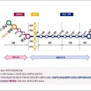 성남여주간 복선전철 노선도 이미지