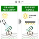 인텔렉추얼인베스트먼트 디지털타임스