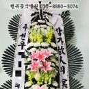 조은꽃식물원 이미지