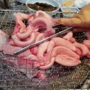 베스트호프광장 이미지