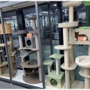 펫클럽강릉내곡점 이미지