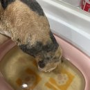 봄동살롱 이미지