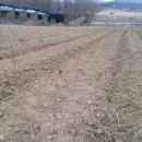 윤슬이네 이미지