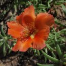 양마농장 이미지