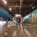 땅끝해양자연사박물관 이미지