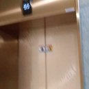 경기도 수원시 영통구 광교호수공원로 이미지