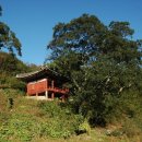 침류정(枕流亭) 이미지