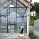 더머물다 이미지