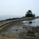 축제자연산석화구이 이미지
