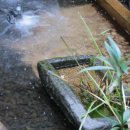 이천메디칼약국 이미지