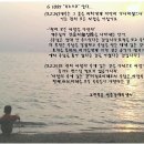 G1097 이미지