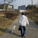 경주건강한약국 | 비타민디 꾸준히 챙기기, 프리솔라 비타민디 후기