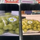 폰사랑삼척점 | 아이폰 17 Pro Max 512G (230만원🔥) 리얼 개봉후기