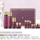 오휘카운셀러 이미지