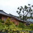 금은화민박 이미지