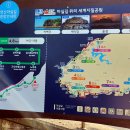 박정순젓갈 | 붉노랑상사화를 보러 변산마실길2코스 걷기
