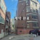 중앙동251 이미지