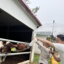 민정목장 이미지