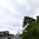 강정동-35 이미지