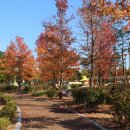 국화축제장 입구 이미지