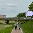 호박 샤브샤브 칼국수 이미지