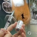 빨간집 이미지