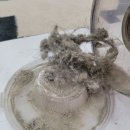 동일하이빌세탁 이미지