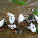 다산초교 이미지