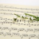 비둘기2길 이미지