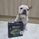 퀘스트박스 | 포우퀘스트 방탄UFO 강아지노즈워크 장난감 후기