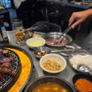 정사장네 갈매기 이미지