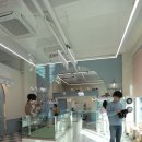 도그캐슬 이미지