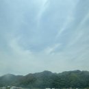 무릉도원면-48 네이버블로그