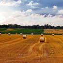 현저 공중화장실 이미지