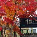 너른마당1 이미지