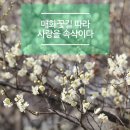 2019년 03월09일(3월 둘째주 토요일)섬진강100리길중 섬진강하동구간(9km) 이미지