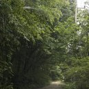 포천계곡캠핑장 | 포천 계곡 오양골캠핑장 후기