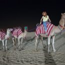 (저녁)이집트전통벨리댄스 이미지