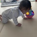 네발로갈때까지 이미지