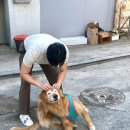 허* - 미추홀구 수봉남로6번길 84 | 허*