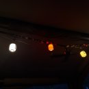 미루나무구이 | [캠핑일기] 홍천 캠핑장 비발디캠핑파크 미루나무점/홍천 애견동반 캠핑장/가족캠핑장 추천