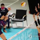 충무방역공사 이미지