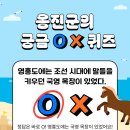 실사고을 | 비행기 활주로만큼 신기한 역사! 조선 시대 왕실의 말을 키우던 영흥도 국마장 이야기