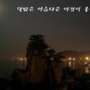 내고향광고
