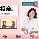 선보래 이미지