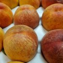 야채왕자 과일공주 이미지