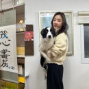 어스플레닛