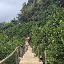 이수표농장 이미지