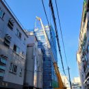 맹꽁이농장 이미지