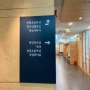 시온누리약국 | [임신 29주] 입체초음파 / 피검사 (간수치, 빈혈, C형간염 검사) / 임신후기 증상